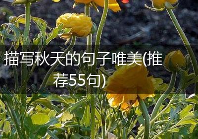 描写秋天的句子唯美(推荐55句)