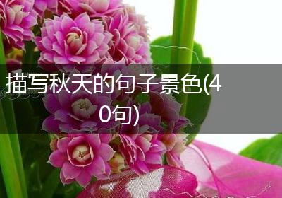 描写秋天的句子景色(40句)