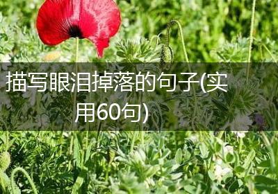 描写眼泪掉落的句子(实用60句)