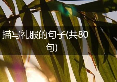 描写礼服的句子(共80句)