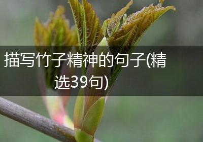 描写竹子精神的句子(精选39句)