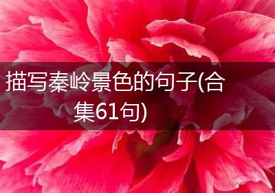 描写秦岭景色的句子(合集61句)