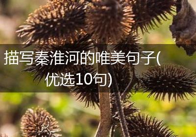 描写秦淮河的唯美句子(优选10句)