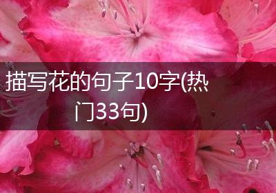 描写花的句子10字(热门33句)