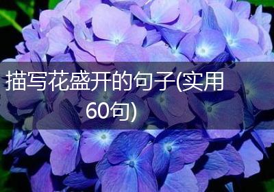 描写花盛开的句子(实用60句)