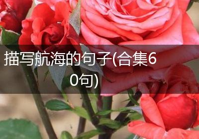 描写航海的句子(合集60句)