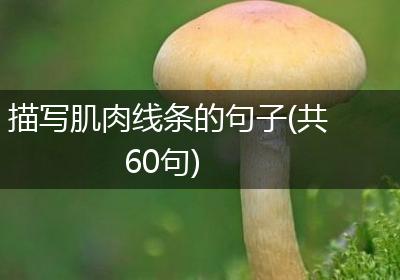 描写肌肉线条的句子(共60句)