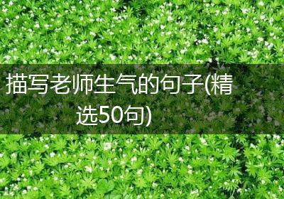 描写老师生气的句子(精选50句)
