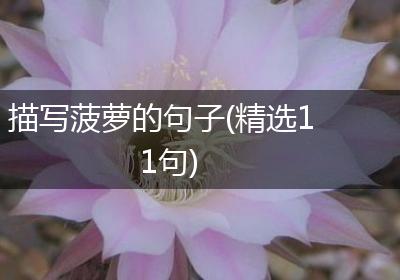 描写菠萝的句子(精选11句)