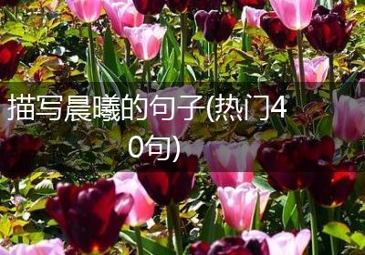 描写晨曦的句子(热门40句)