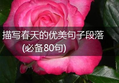 描写春天的优美句子段落(必备80句)