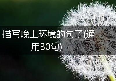 描写晚上环境的句子(通用30句)