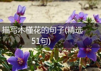 描写木槿花的句子(精选51句)