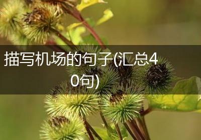 描写机场的句子(汇总40句)