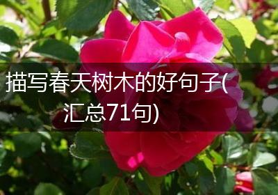 描写春天树木的好句子(汇总71句)