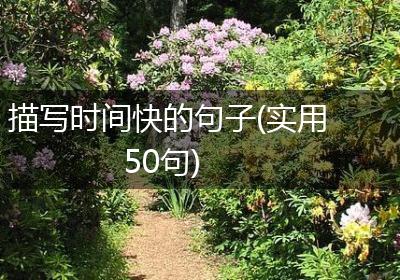 描写时间快的句子(实用50句)