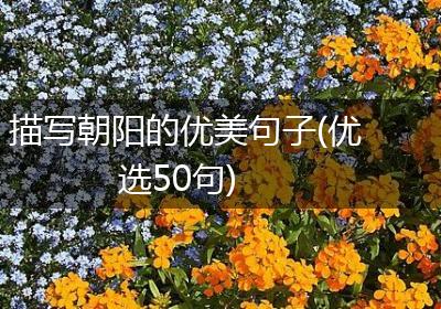 描写朝阳的优美句子(优选50句)