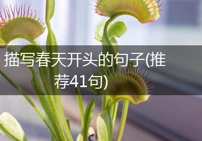 描写春天开头的句子(推荐41句)