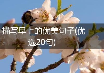 描写早上的优美句子(优选20句)
