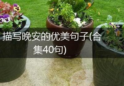 描写晚安的优美句子(合集40句)