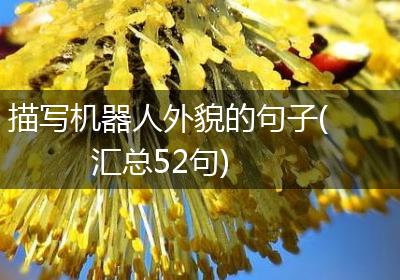 描写机器人外貌的句子(汇总52句)