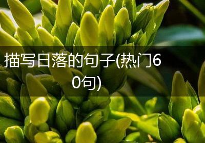 描写日落的句子(热门60句)