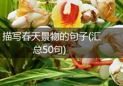 描写春天景物的句子(汇总50句)