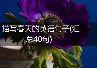 描写春天的英语句子(汇总40句)