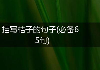 描写桔子的句子(必备65句)