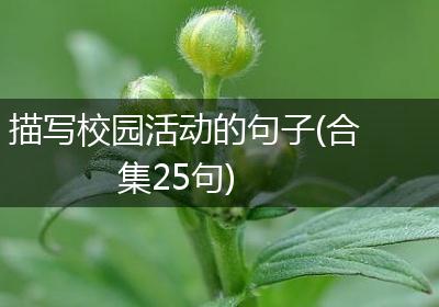 描写校园活动的句子(合集25句)