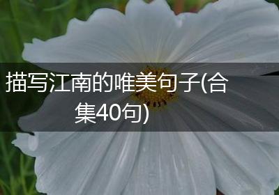 描写江南的唯美句子(合集40句)