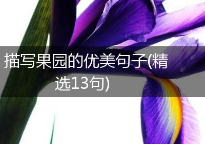 描写果园的优美句子(精选13句)