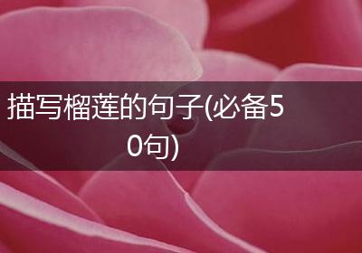 描写榴莲的句子(必备50句)