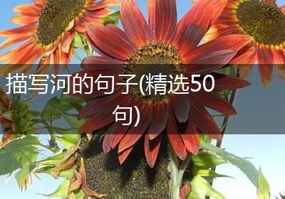 描写河的句子(精选50句)