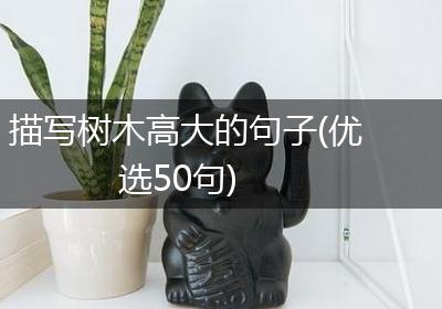 描写树木高大的句子(优选50句)