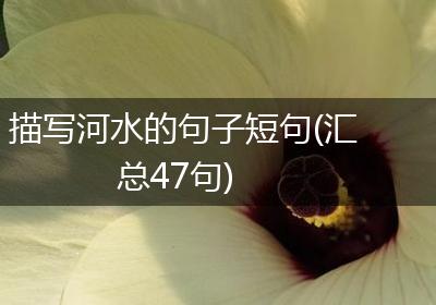 描写河水的句子短句(汇总47句)