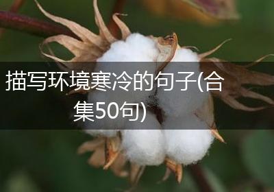 描写环境寒冷的句子(合集50句)