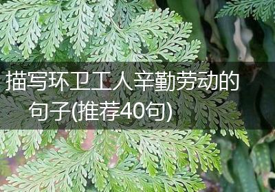 描写环卫工人辛勤劳动的句子(推荐40句)