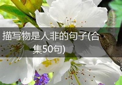 描写物是人非的句子(合集50句)
