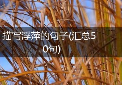 描写浮萍的句子(汇总50句)