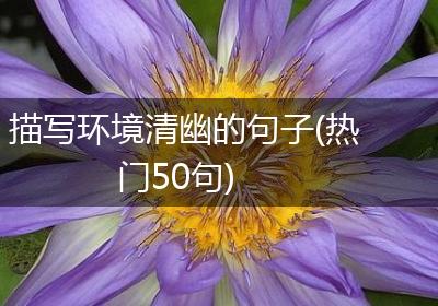 描写环境清幽的句子(热门50句)