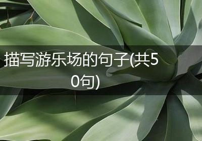 描写游乐场的句子(共50句)