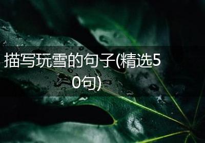 描写玩雪的句子(精选50句)