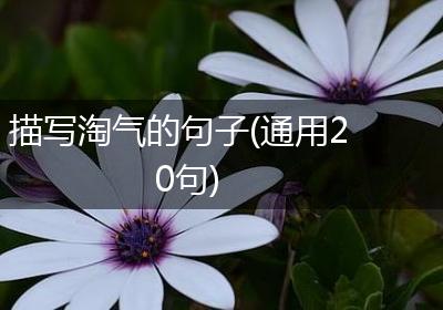 描写淘气的句子(通用20句)