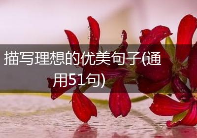 描写理想的优美句子(通用51句)