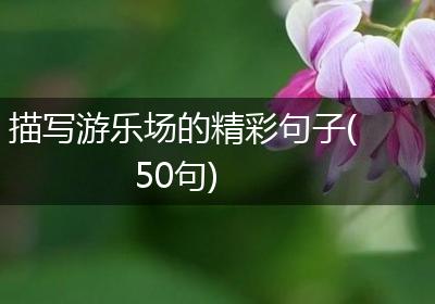 描写游乐场的精彩句子(50句)