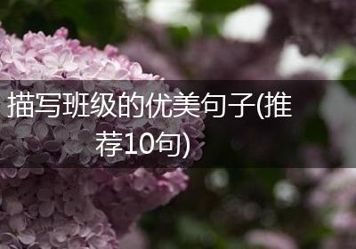 描写班级的优美句子(推荐10句)