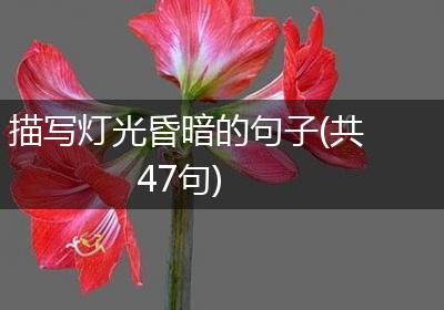 描写灯光昏暗的句子(共47句)