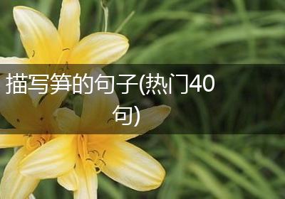 描写笋的句子(热门40句)