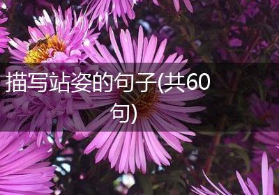 描写站姿的句子(共60句)